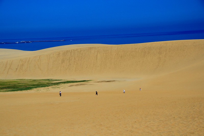 鳥取砂丘┃鳥取親子自駕遊：日本地區最美的沙漠景色，山陰地區必遊的旅遊景點推薦 @飛天璇的口袋