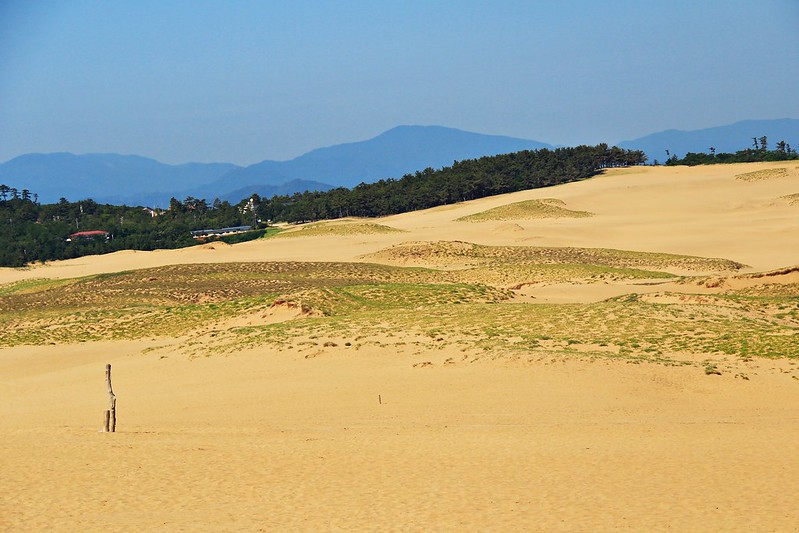 鳥取砂丘┃鳥取親子自駕遊：日本地區最美的沙漠景色，山陰地區必遊的旅遊景點推薦 @飛天璇的口袋