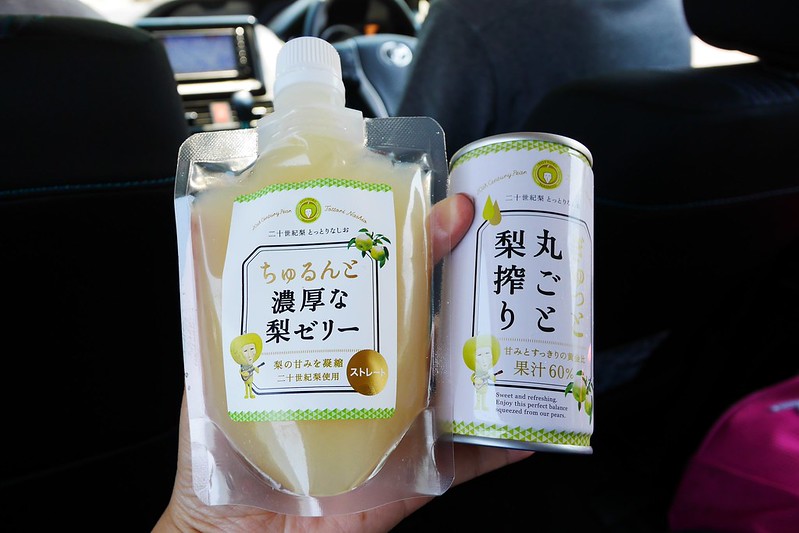 砂之美術館┃鳥取親子自駕遊：2017年最新展覽主題~美國，把簡單的砂變成精美的藝術品，可以和鳥取砂丘排半日遊 @飛天璇的口袋