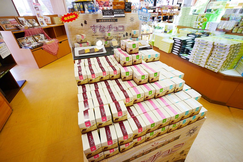 砂之美術館┃鳥取親子自駕遊：2017年最新展覽主題~美國，把簡單的砂變成精美的藝術品，可以和鳥取砂丘排半日遊 @飛天璇的口袋