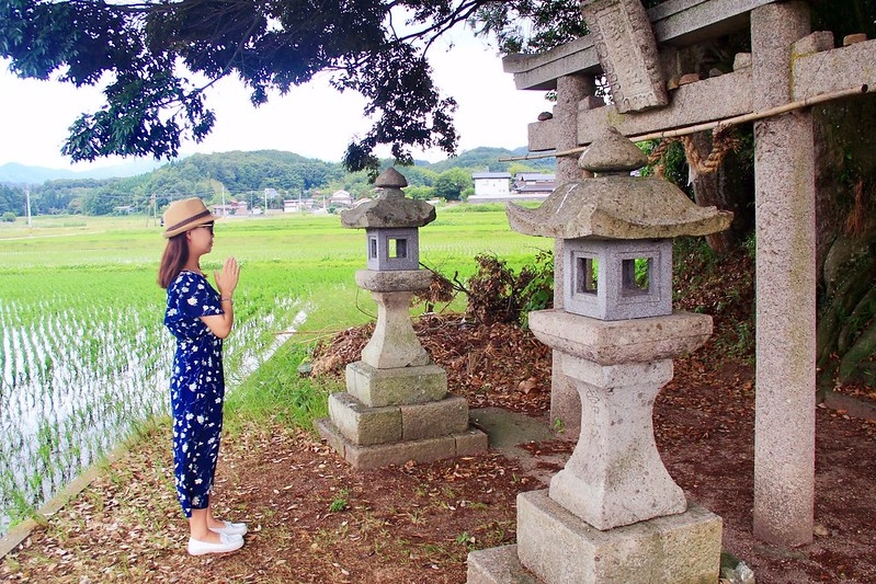 鳥取龍貓森林(小原神社)：位於南方町的秘境，仿佛走進龍貓電影中的森林 @飛天璇的口袋