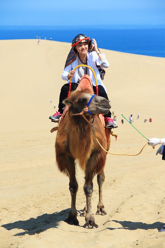 鳥取砂丘┃鳥取親子自駕遊：日本地區最美的沙漠景色，山陰地區必遊的旅遊景點推薦 @飛天璇的口袋