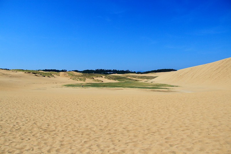 鳥取砂丘┃鳥取親子自駕遊：日本地區最美的沙漠景色，山陰地區必遊的旅遊景點推薦 @飛天璇的口袋