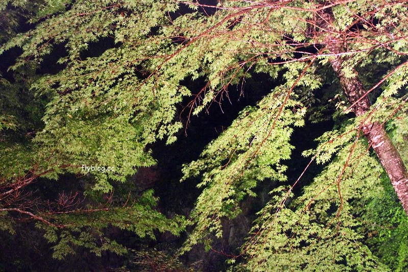 日本京都｜高雄錦水亭｜京都高雄住宿推薦，溫泉飯店一泊二食，溪邊品嚐京都三大川床料理之一的佳餚 @飛天璇的口袋