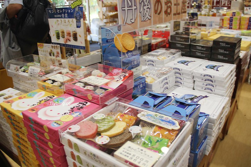 日本京都｜丹後王國(美食之都)~西日本最大道の駅，結合餐飲、娛樂、景觀、住宿和購物，有100萬顆燈炮組成的天空遊步道 @飛天璇的口袋