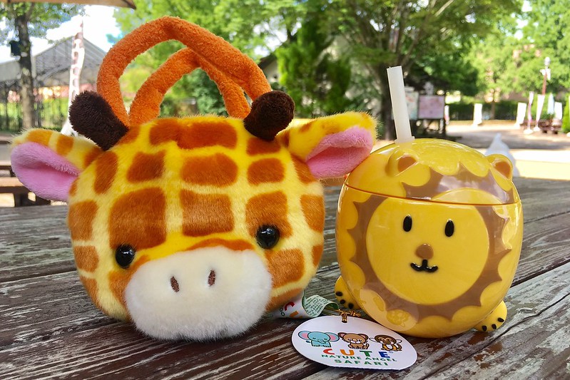 日本京都|海之京都4天3夜自由行.伊根、丹後半島、景點、美食、住宿和交通方式 @飛天璇的口袋