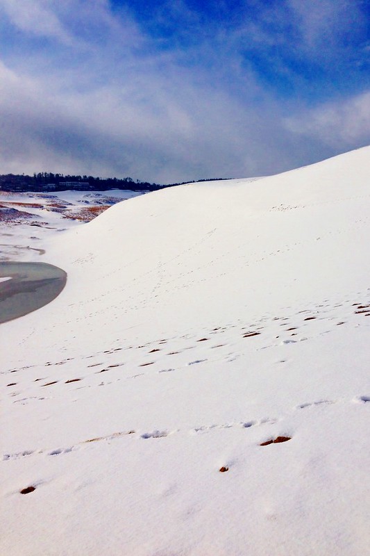 鳥取砂丘┃鳥取親子自駕遊：日本地區最美的沙漠景色，山陰地區必遊的旅遊景點推薦 @飛天璇的口袋