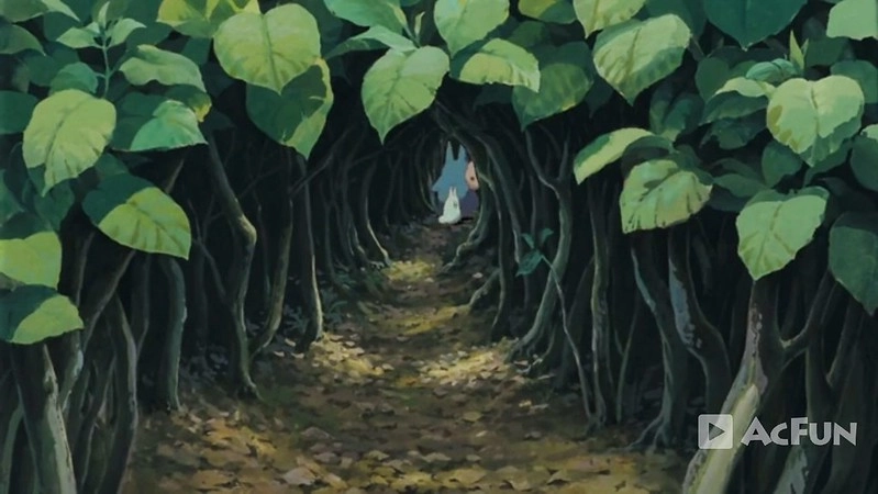 鳥取龍貓森林(小原神社)：位於南方町的秘境，仿佛走進龍貓電影中的森林 @飛天璇的口袋