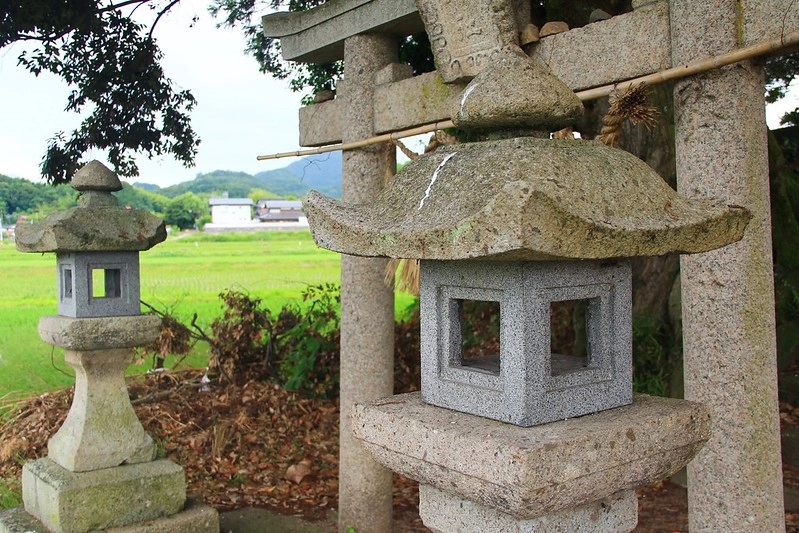 鳥取龍貓森林(小原神社)：位於南方町的秘境，仿佛走進龍貓電影中的森林 @飛天璇的口袋