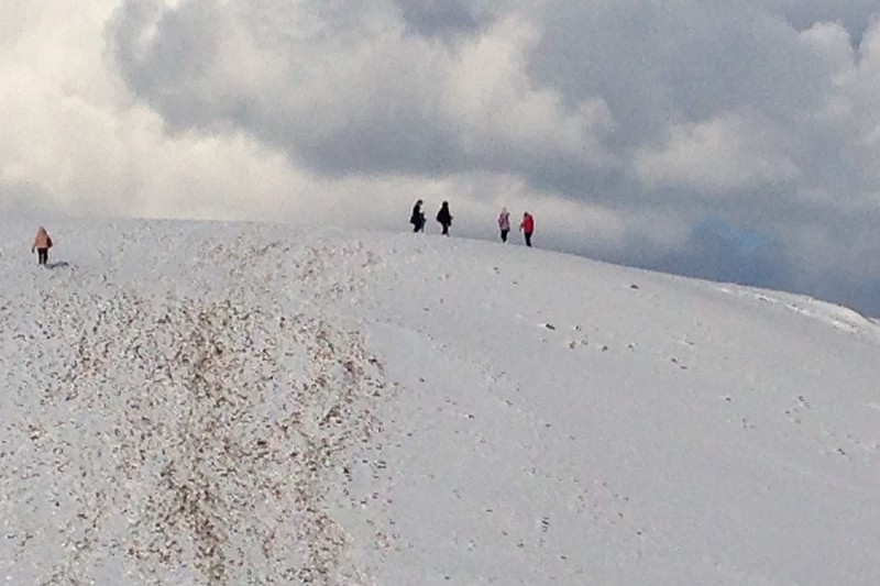 鳥取砂丘┃鳥取親子自駕遊：日本地區最美的沙漠景色，山陰地區必遊的旅遊景點推薦 @飛天璇的口袋
