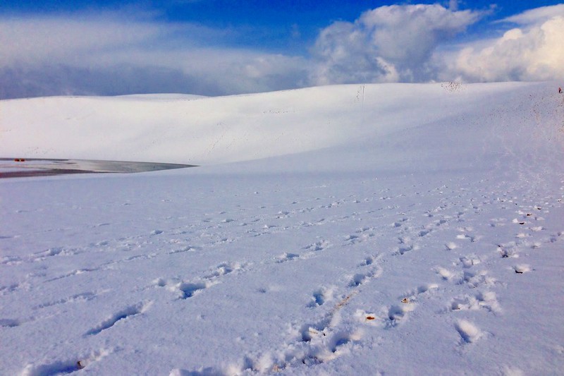 鳥取砂丘┃鳥取親子自駕遊：日本地區最美的沙漠景色，山陰地區必遊的旅遊景點推薦 @飛天璇的口袋