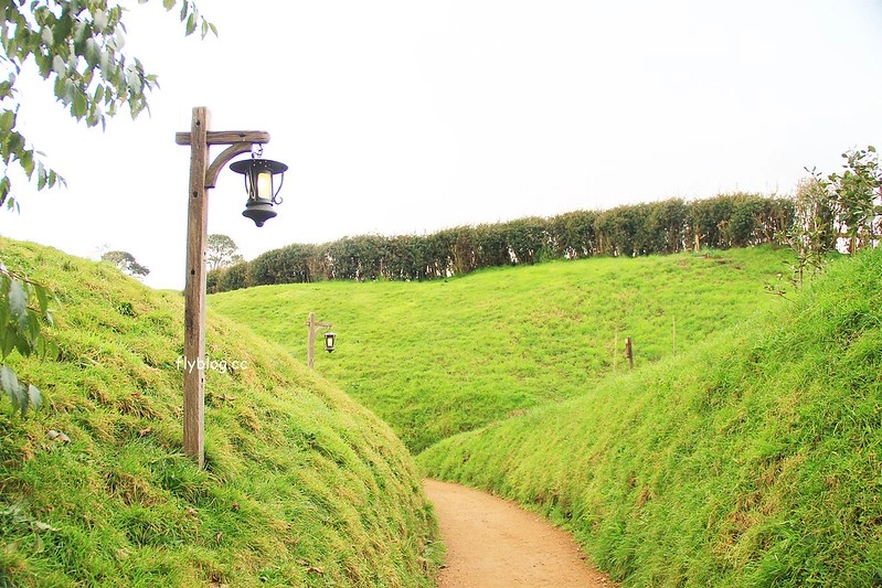 紐西蘭瑪塔瑪塔｜Hobbiton 哈比村．電影魔戒拍攝地，紐西蘭北島一日遊 @飛天璇的口袋
