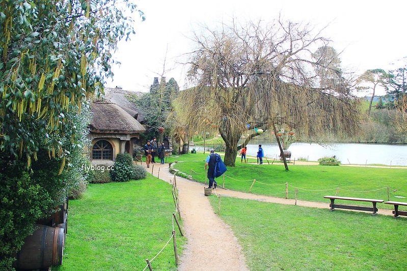 紐西蘭瑪塔瑪塔｜Hobbiton 哈比村．電影魔戒拍攝地，紐西蘭北島一日遊 @飛天璇的口袋