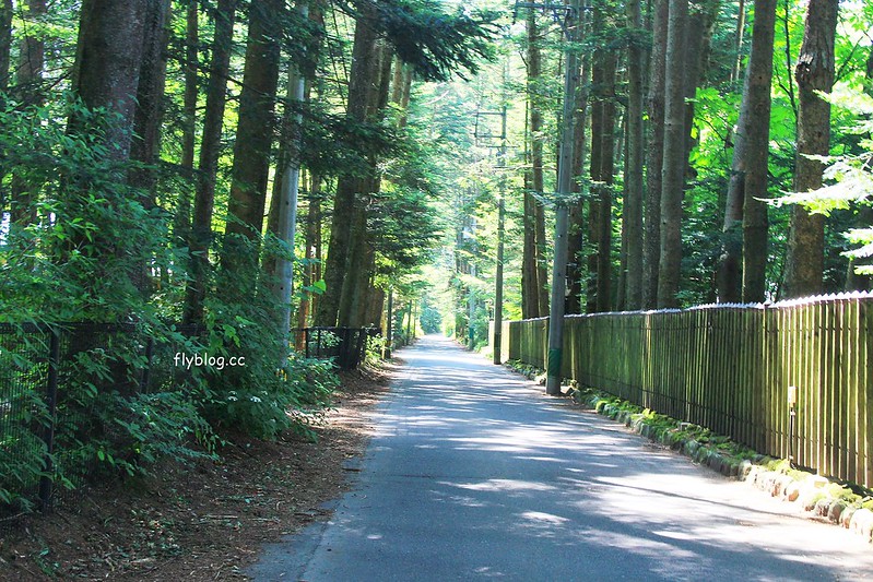 日本長野｜輕井澤2天1夜懶人包，景點、住宿、美食、交通(東京到輕井澤交通方式+JR PASS券) @飛天璇的口袋