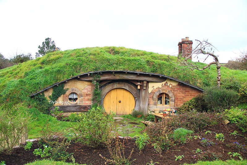 紐西蘭瑪塔瑪塔｜Hobbiton 哈比村．電影魔戒拍攝地，紐西蘭北島一日遊 @飛天璇的口袋