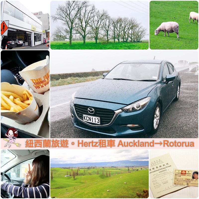 【紐西蘭自由行】紐西蘭北島10天行程規劃．自駕玩紐西蘭北島，暢遊魔戒哈比村 @飛天璇的口袋
