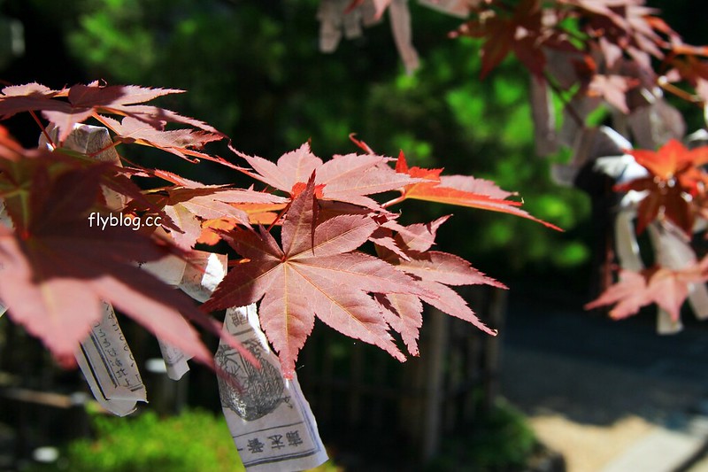 日本長野｜善光寺，長野的信仰之光，千年歷史的國寶級的旅遊景點，日本人一生一定要來一次的地方 @飛天璇的口袋