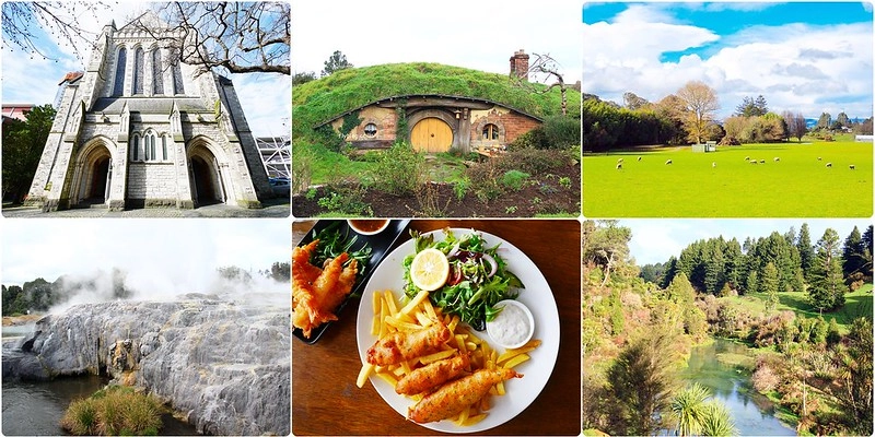 【紐西蘭自由行】紐西蘭北島10天行程規劃．自駕玩紐西蘭北島，暢遊魔戒哈比村 @飛天璇的口袋