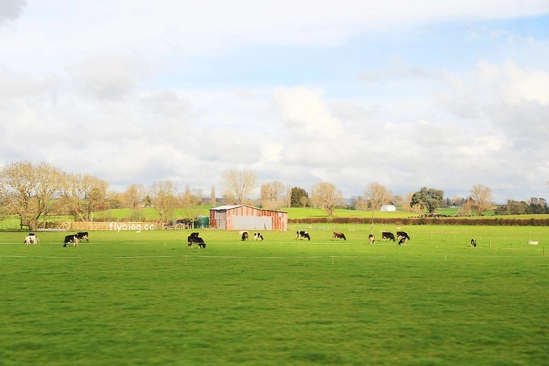 紐西蘭北島｜懷托摩洞穴，藍光螢火蟲鐘乳石洞，全球八奇景，吳奇隆劉詩詩拍婚紗的地方 @飛天璇的口袋