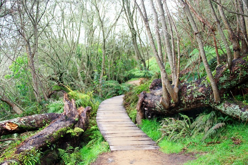 紐西蘭瑪塔瑪塔｜Hobbiton 哈比村．電影魔戒拍攝地，紐西蘭北島一日遊 @飛天璇的口袋