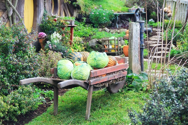 紐西蘭瑪塔瑪塔｜Hobbiton 哈比村．電影魔戒拍攝地，紐西蘭北島一日遊 @飛天璇的口袋