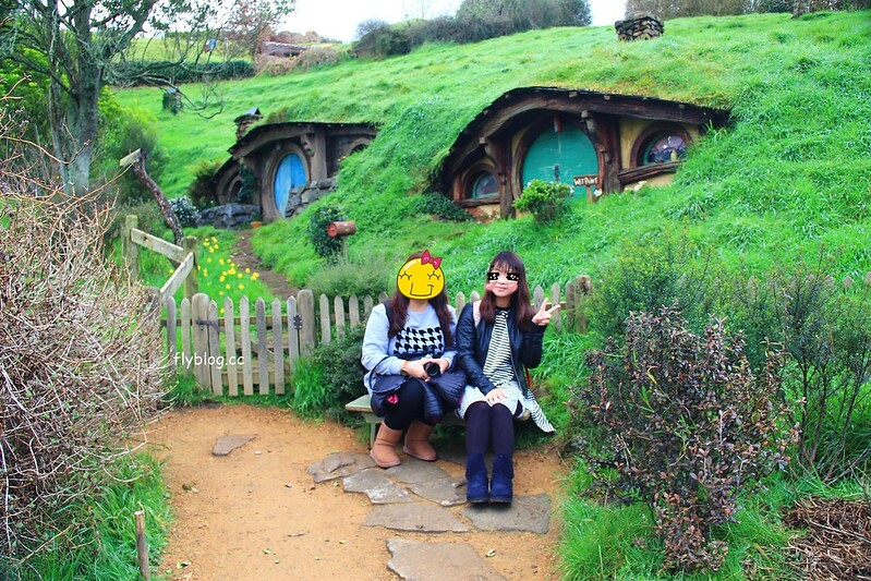紐西蘭瑪塔瑪塔｜Hobbiton 哈比村．電影魔戒拍攝地，紐西蘭北島一日遊 @飛天璇的口袋