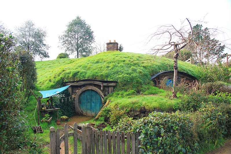 紐西蘭瑪塔瑪塔｜Hobbiton 哈比村．電影魔戒拍攝地，紐西蘭北島一日遊 @飛天璇的口袋