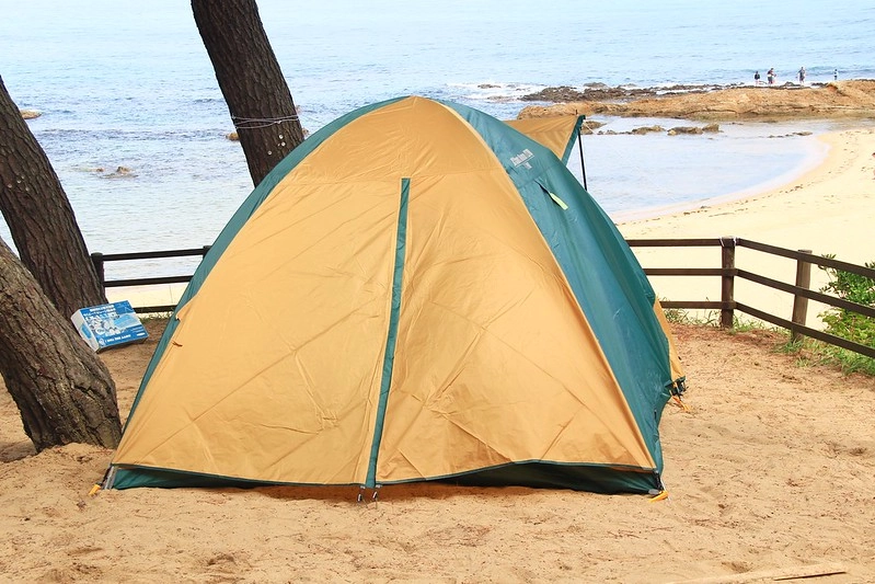 日本京都|海之京都4天3夜自由行.伊根、丹後半島、景點、美食、住宿和交通方式 @飛天璇的口袋