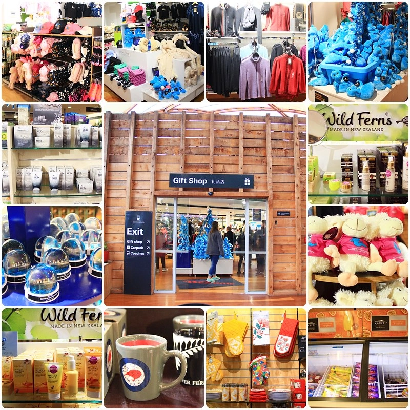 紐西蘭北島｜懷托摩洞穴，藍光螢火蟲鐘乳石洞，全球八奇景，吳奇隆劉詩詩拍婚紗的地方 @飛天璇的口袋