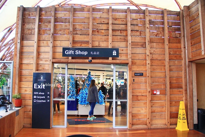 紐西蘭北島｜懷托摩洞穴，藍光螢火蟲鐘乳石洞，全球八奇景，吳奇隆劉詩詩拍婚紗的地方 @飛天璇的口袋