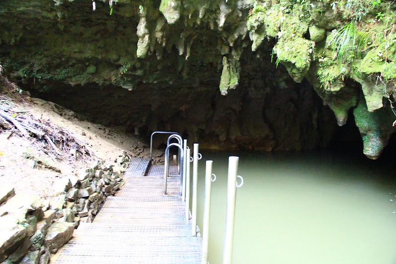 紐西蘭北島｜懷托摩洞穴，藍光螢火蟲鐘乳石洞，全球八奇景，吳奇隆劉詩詩拍婚紗的地方 @飛天璇的口袋