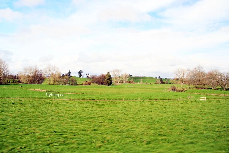 紐西蘭北島｜懷托摩洞穴，藍光螢火蟲鐘乳石洞，全球八奇景，吳奇隆劉詩詩拍婚紗的地方 @飛天璇的口袋