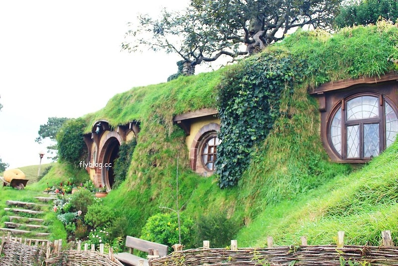 紐西蘭瑪塔瑪塔｜Hobbiton 哈比村．電影魔戒拍攝地，紐西蘭北島一日遊 @飛天璇的口袋