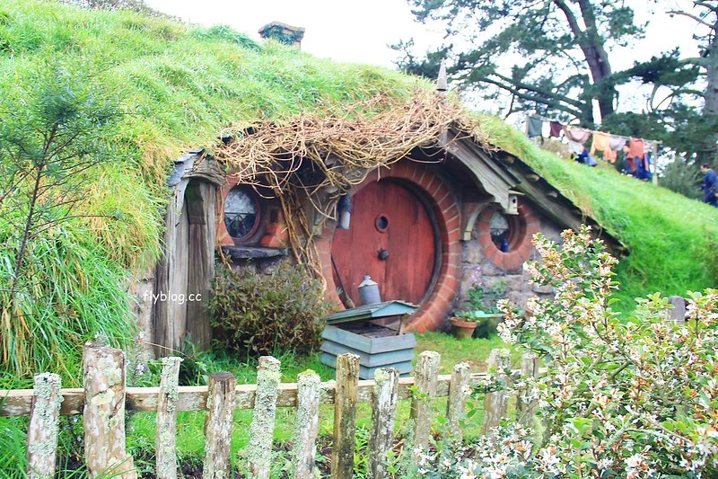 紐西蘭瑪塔瑪塔｜Hobbiton 哈比村．電影魔戒拍攝地，紐西蘭北島一日遊 @飛天璇的口袋