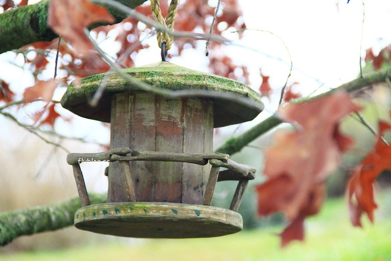 紐西蘭瑪塔瑪塔｜Hobbiton 哈比村．電影魔戒拍攝地，紐西蘭北島一日遊 @飛天璇的口袋