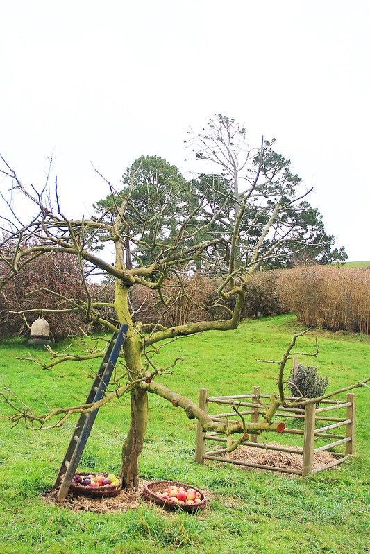 紐西蘭瑪塔瑪塔｜Hobbiton 哈比村．電影魔戒拍攝地，紐西蘭北島一日遊 @飛天璇的口袋