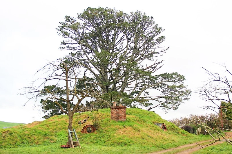 紐西蘭瑪塔瑪塔｜Hobbiton 哈比村．電影魔戒拍攝地，紐西蘭北島一日遊 @飛天璇的口袋