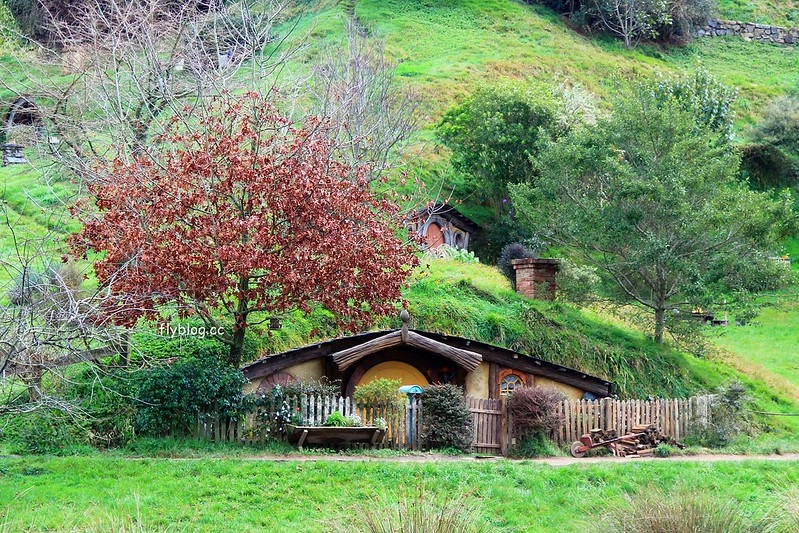 紐西蘭瑪塔瑪塔｜Hobbiton 哈比村．電影魔戒拍攝地，紐西蘭北島一日遊 @飛天璇的口袋