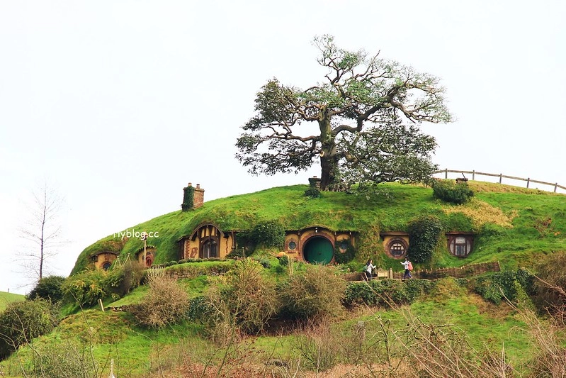 紐西蘭瑪塔瑪塔｜Hobbiton 哈比村．電影魔戒拍攝地，紐西蘭北島一日遊 @飛天璇的口袋