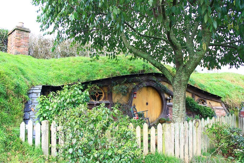 紐西蘭瑪塔瑪塔｜Hobbiton 哈比村．電影魔戒拍攝地，紐西蘭北島一日遊 @飛天璇的口袋