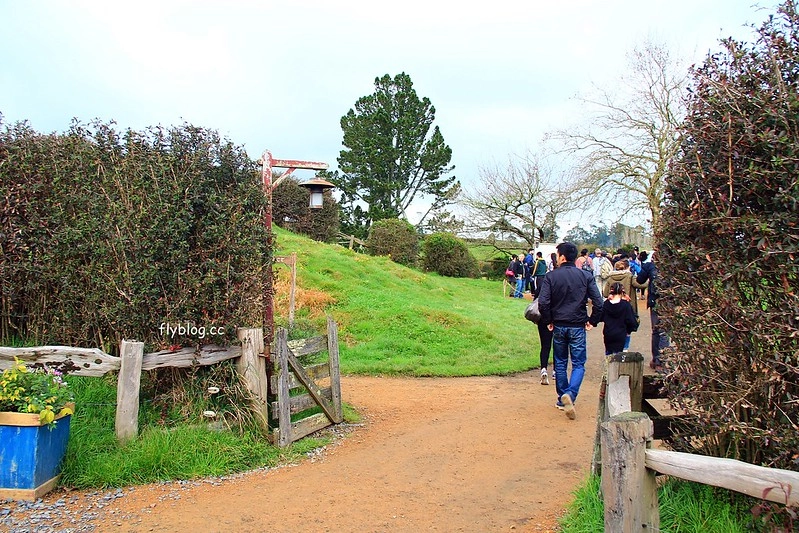 紐西蘭瑪塔瑪塔｜Hobbiton 哈比村．電影魔戒拍攝地，紐西蘭北島一日遊 @飛天璇的口袋