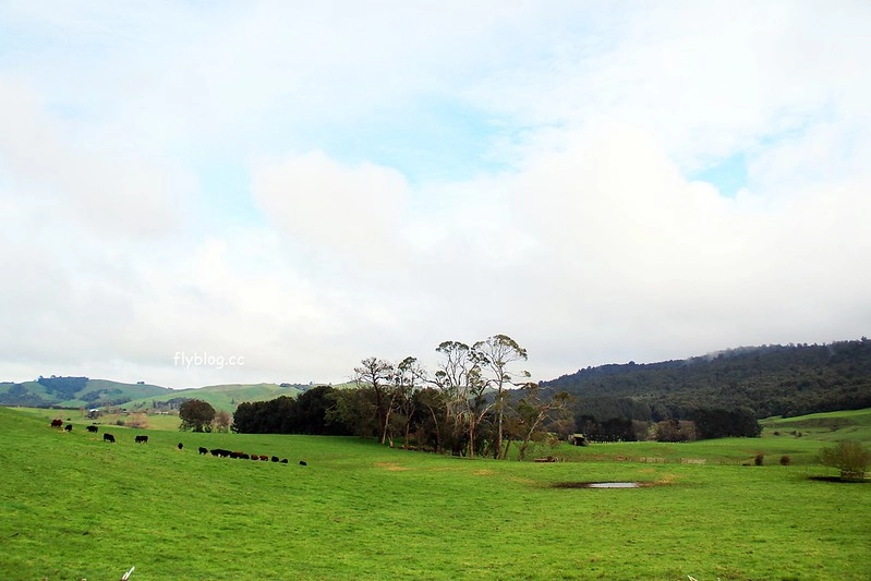 紐西蘭瑪塔瑪塔｜Hobbiton 哈比村．電影魔戒拍攝地，紐西蘭北島一日遊 @飛天璇的口袋