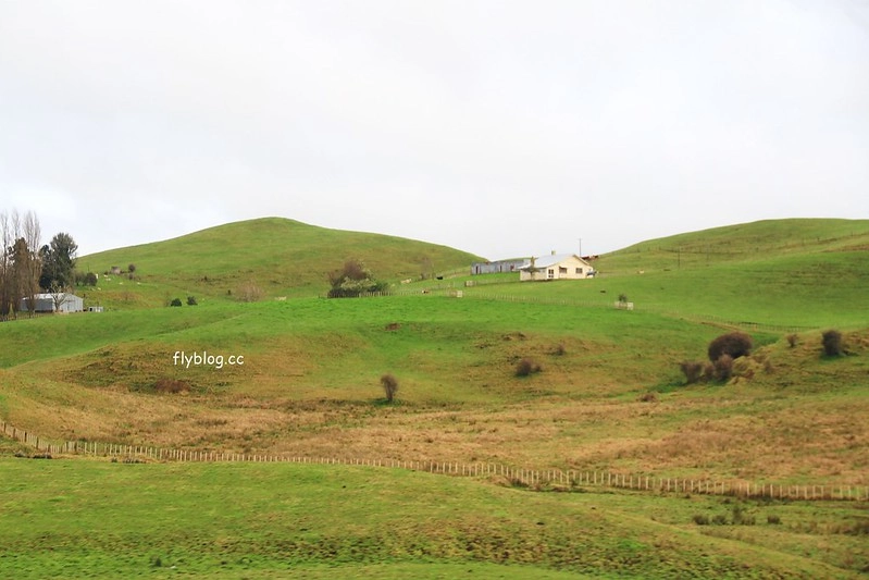 紐西蘭瑪塔瑪塔｜Hobbiton 哈比村．電影魔戒拍攝地，紐西蘭北島一日遊 @飛天璇的口袋