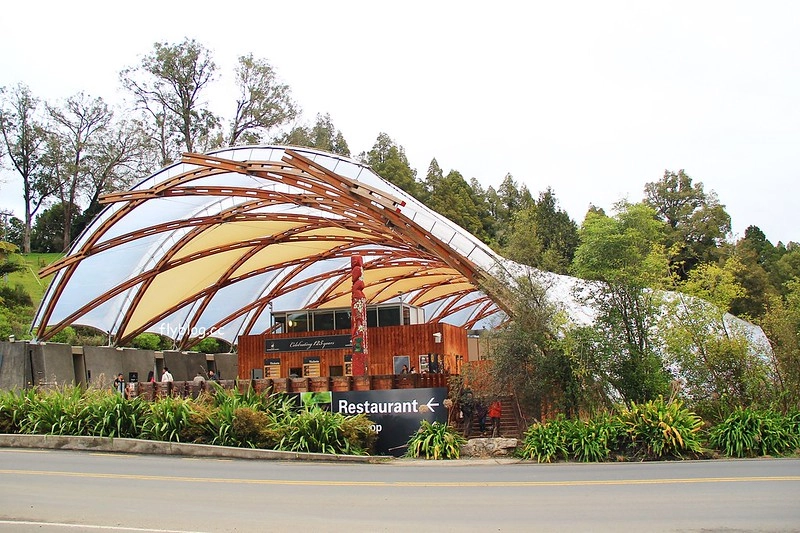 紐西蘭北島｜懷托摩洞穴，藍光螢火蟲鐘乳石洞，全球八奇景，吳奇隆劉詩詩拍婚紗的地方 @飛天璇的口袋
