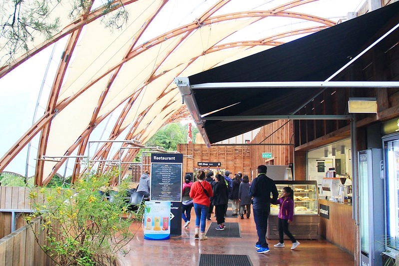 紐西蘭北島｜懷托摩洞穴，藍光螢火蟲鐘乳石洞，全球八奇景，吳奇隆劉詩詩拍婚紗的地方 @飛天璇的口袋