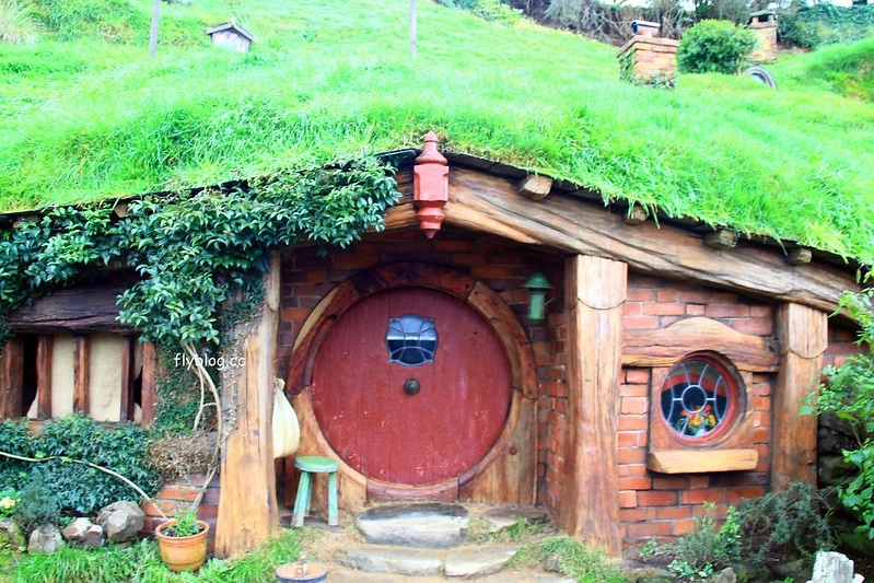 紐西蘭瑪塔瑪塔｜Hobbiton 哈比村．電影魔戒拍攝地，紐西蘭北島一日遊 @飛天璇的口袋