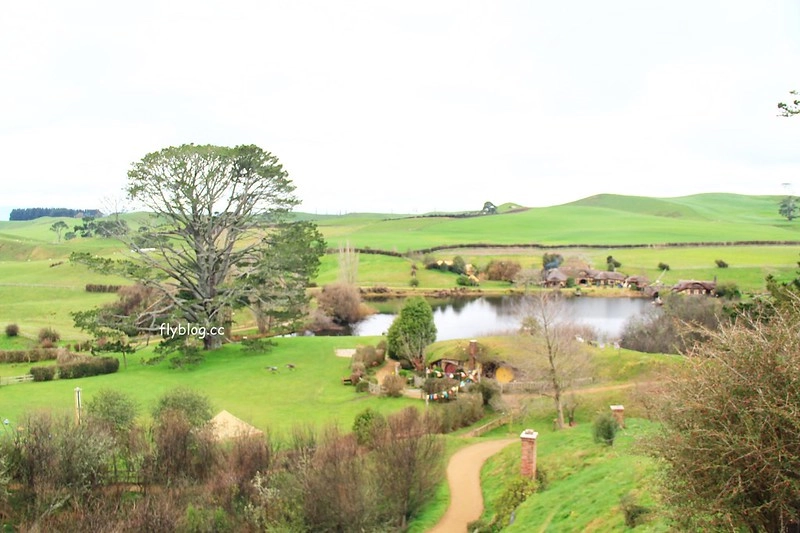 紐西蘭瑪塔瑪塔｜Hobbiton 哈比村．電影魔戒拍攝地，紐西蘭北島一日遊 @飛天璇的口袋