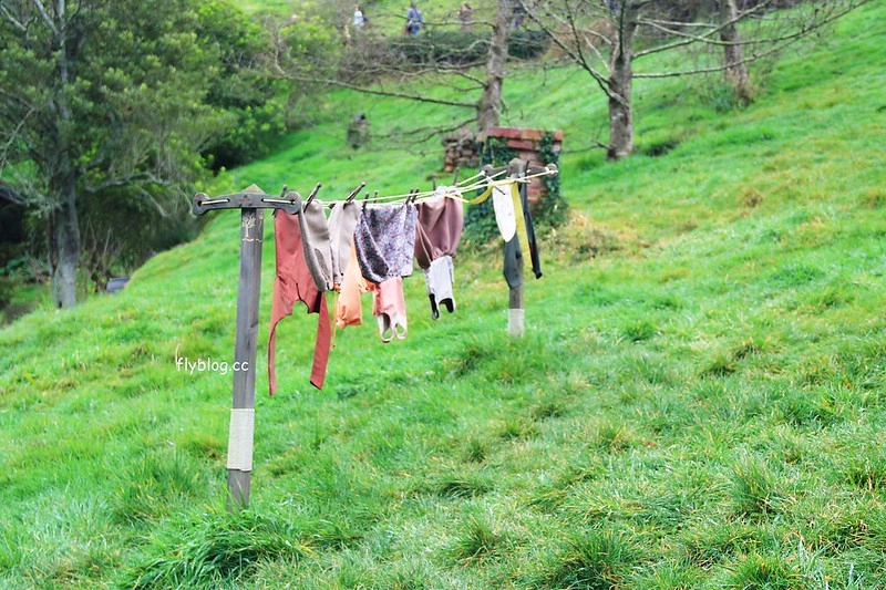 紐西蘭瑪塔瑪塔｜Hobbiton 哈比村．電影魔戒拍攝地，紐西蘭北島一日遊 @飛天璇的口袋