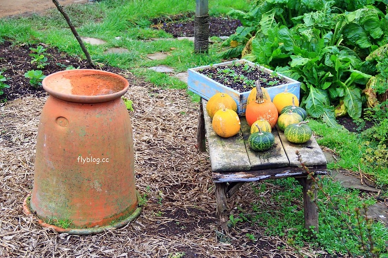 紐西蘭瑪塔瑪塔｜Hobbiton 哈比村．電影魔戒拍攝地，紐西蘭北島一日遊 @飛天璇的口袋