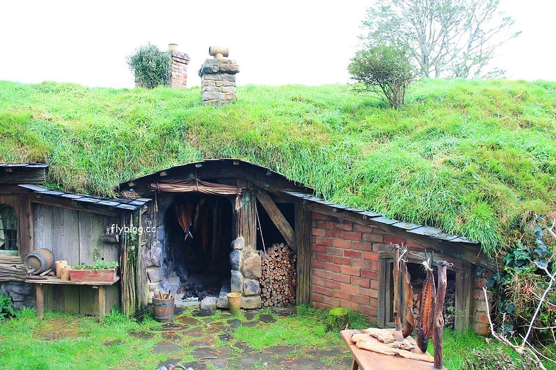 紐西蘭瑪塔瑪塔｜Hobbiton 哈比村．電影魔戒拍攝地，紐西蘭北島一日遊 @飛天璇的口袋